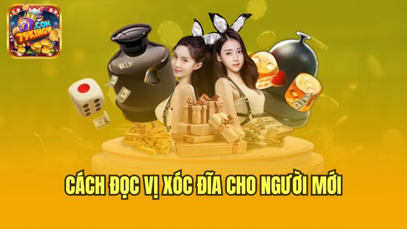 cach-doc-vi-xoc-dia-cho-nguoi-moi